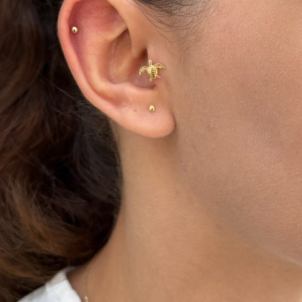 14 AYAR KAPLUMBAĞA CARETTA TRAGUS VE HELİX KÜPE