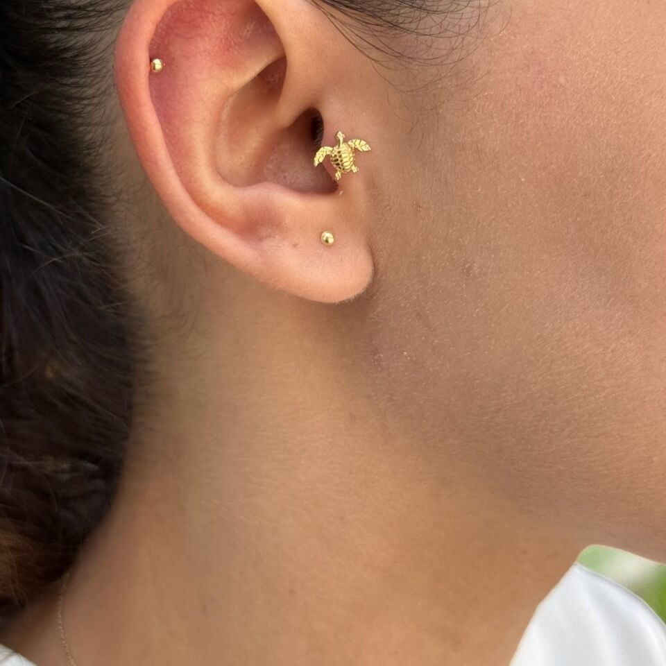 14 AYAR KAPLUMBAĞA CARETTA TRAGUS VE HELİX KÜPE