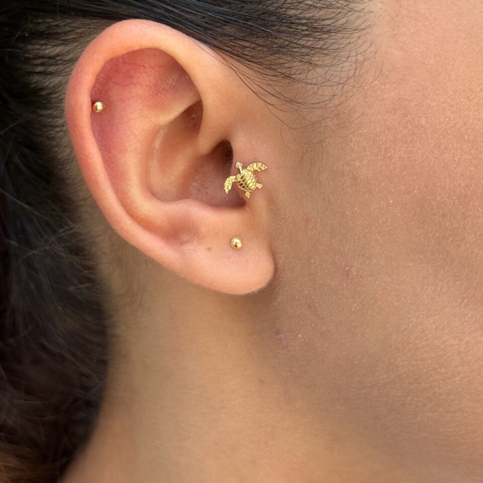 14 AYAR KAPLUMBAĞA CARETTA TRAGUS VE HELİX KÜPE