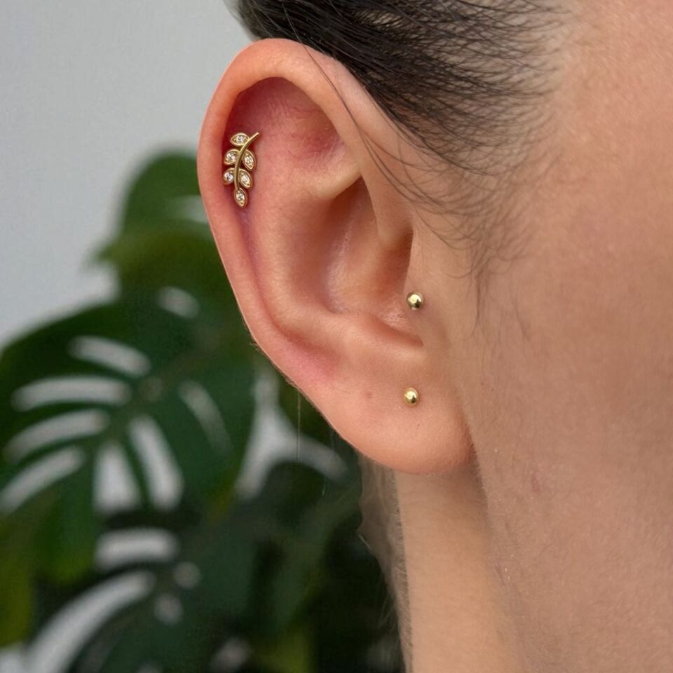 14 AYAR ÇİÇEK DALI TRAGUS VE HELİX KÜPE