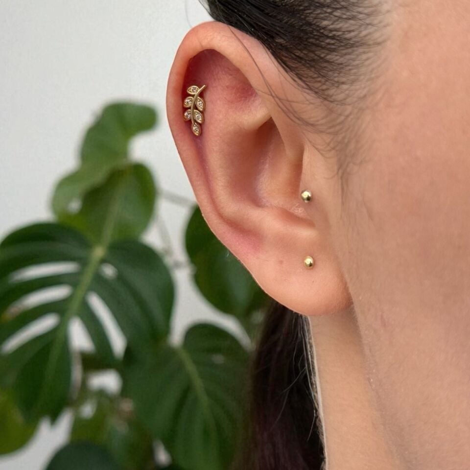 14 AYAR ÇİÇEK DALI TRAGUS VE HELİX KÜPE