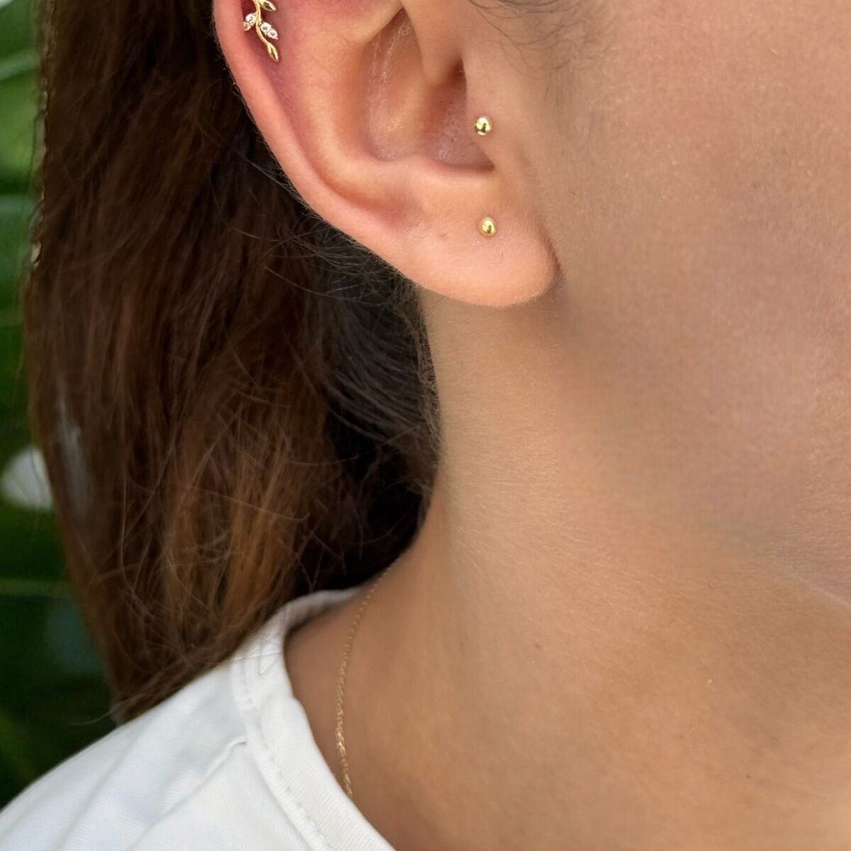 14 AYAR ZEYTİN DALI TRAGUS VE HELİX KÜPE