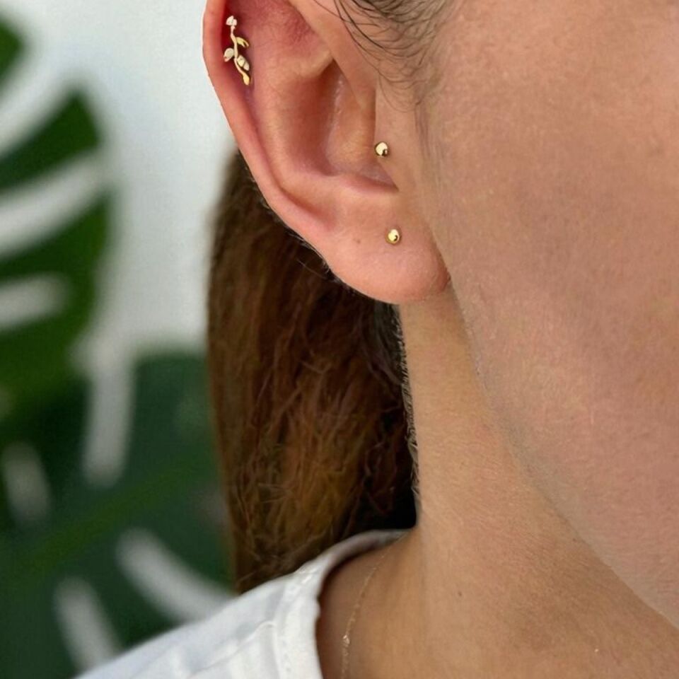 14 AYAR ZEYTİN DALI TRAGUS VE HELİX KÜPE