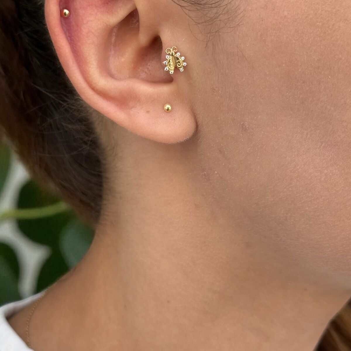 14 AYAR UĞURBÖCEĞİ TRAGUS VE HELİX KÜPE
