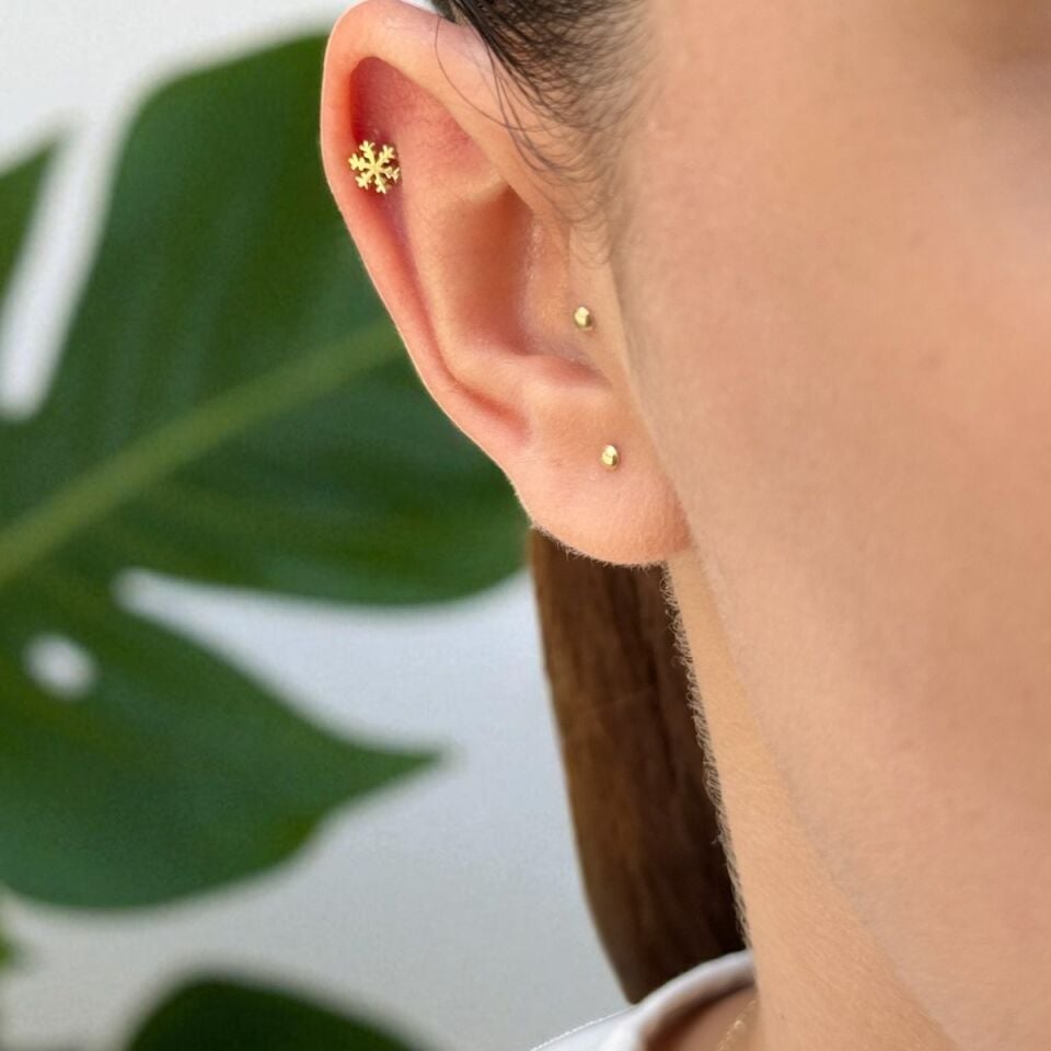 14 AYAR KARTANESİ TRAGUS VE HELİX KÜPE