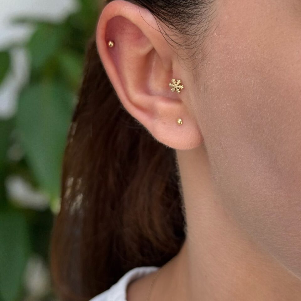 14 AYAR KARTANESİ TRAGUS VE HELİX KÜPE