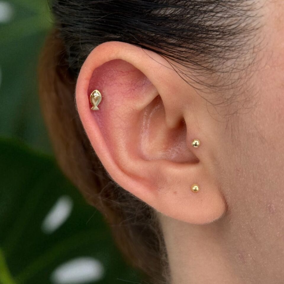 14 AYAR VİNTAGE TASARIM BALIK TRAGUS VE HELİX KÜPE