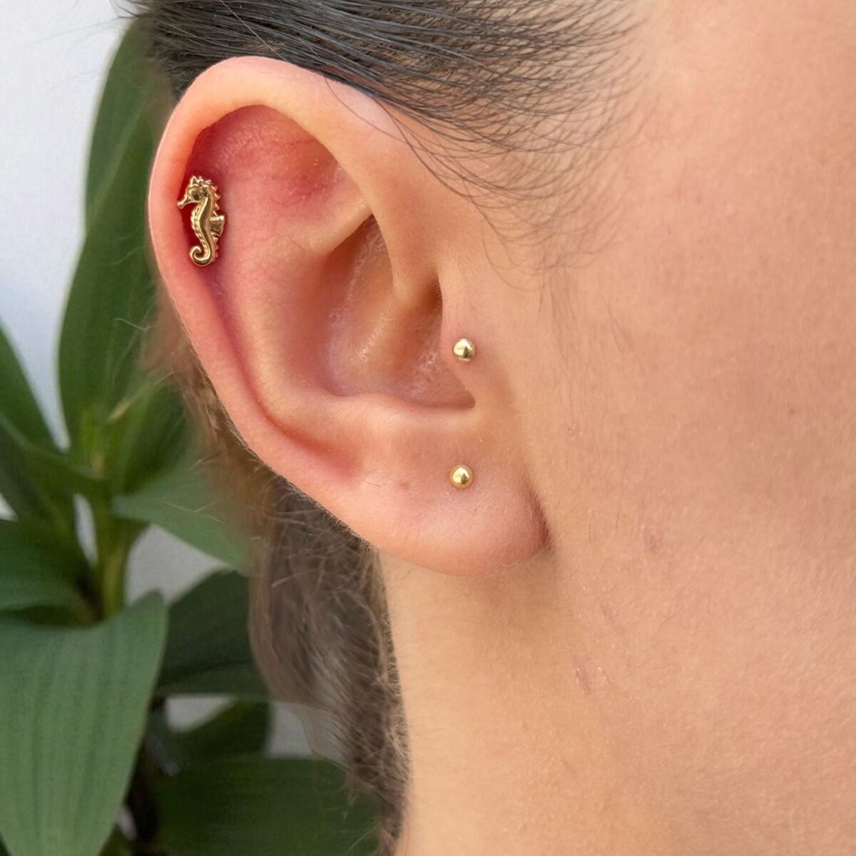 14 AYAR DENİZATI TRAGUS VE HELİX KÜPE