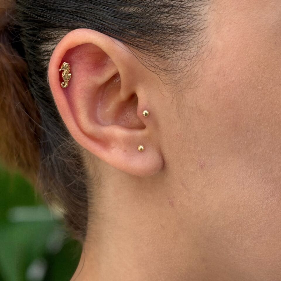 14 AYAR DENİZATI TRAGUS VE HELİX KÜPE