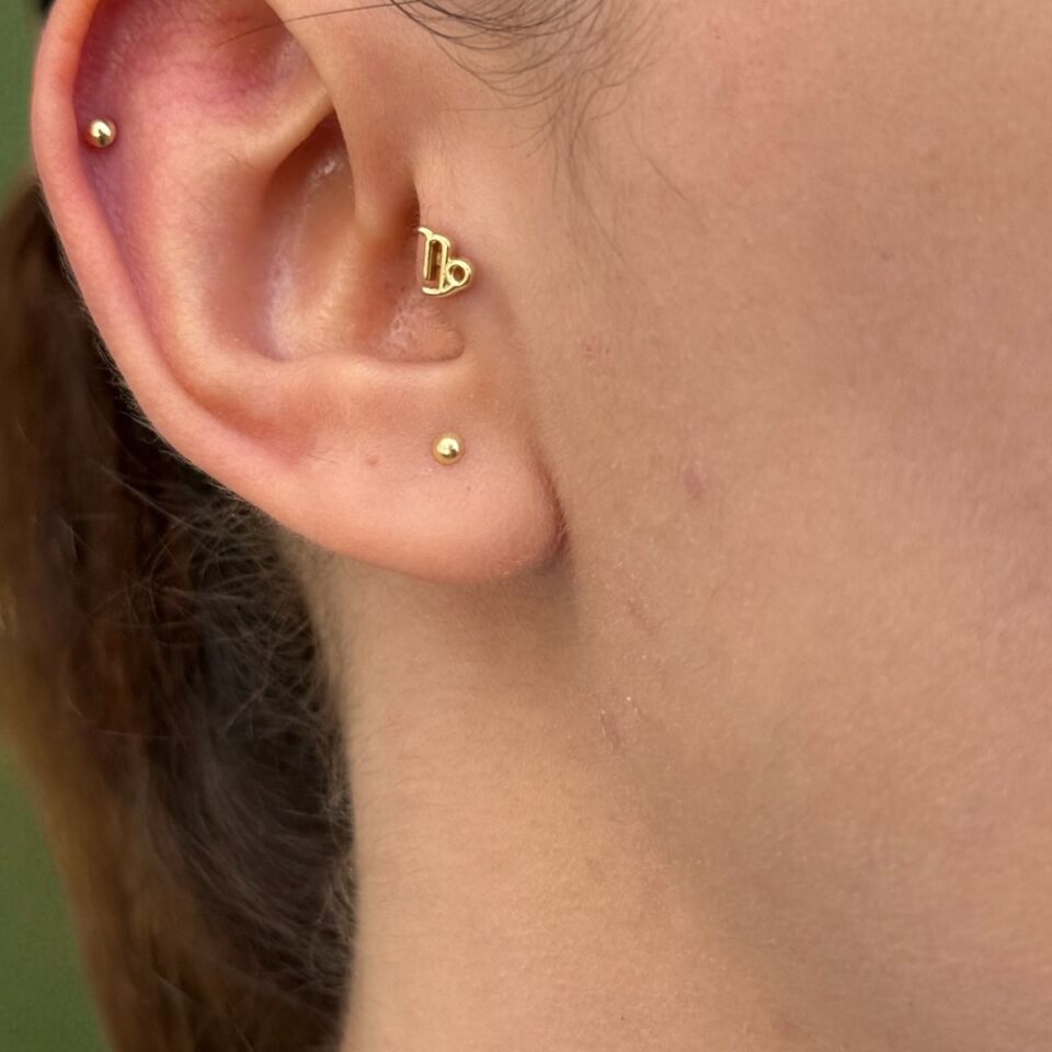 14 AYAR ASLAN BURCU TRAGUS HELİX KÜPE