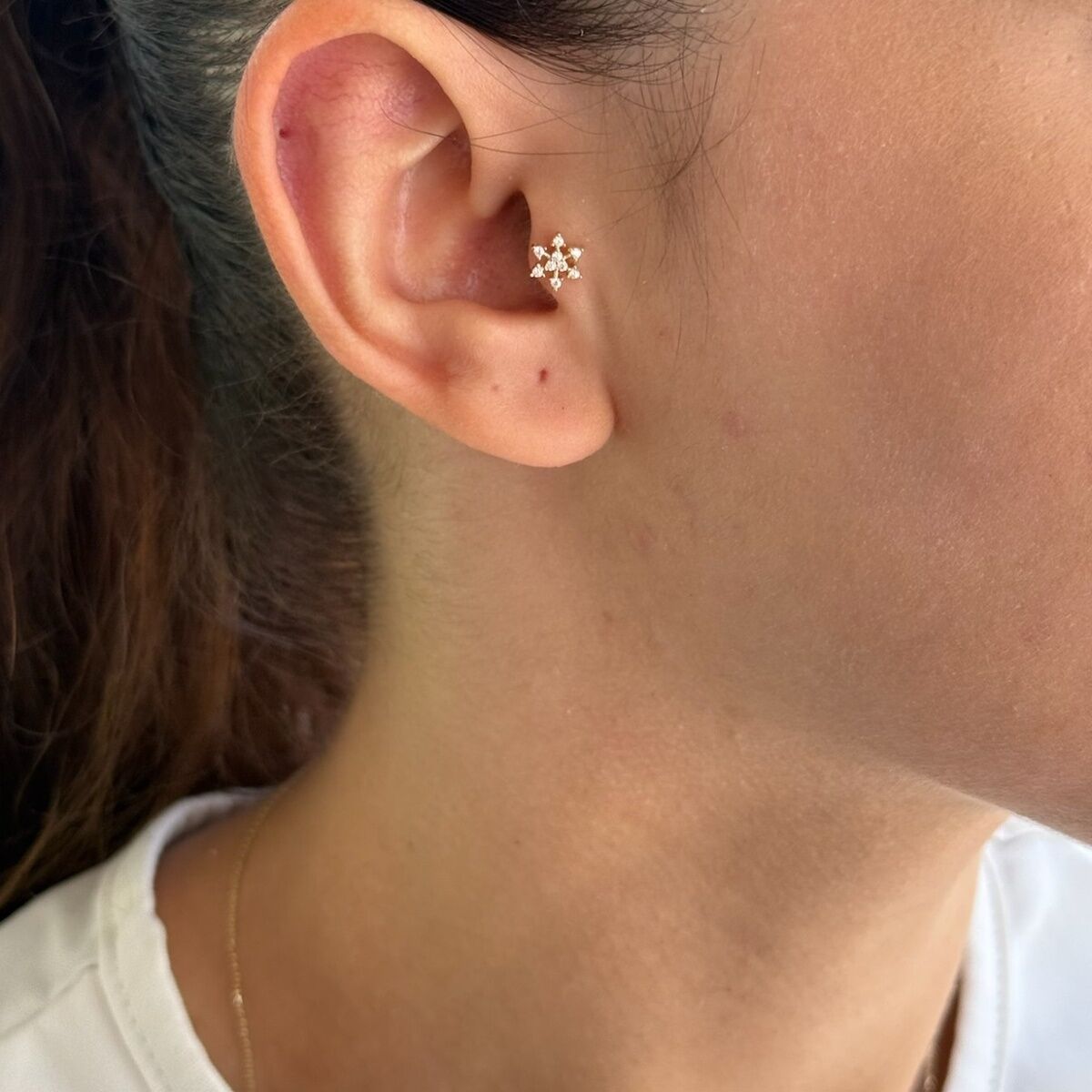 14 AYAR TAŞLI KARTANESİ TRAGUS HELİX KÜPE