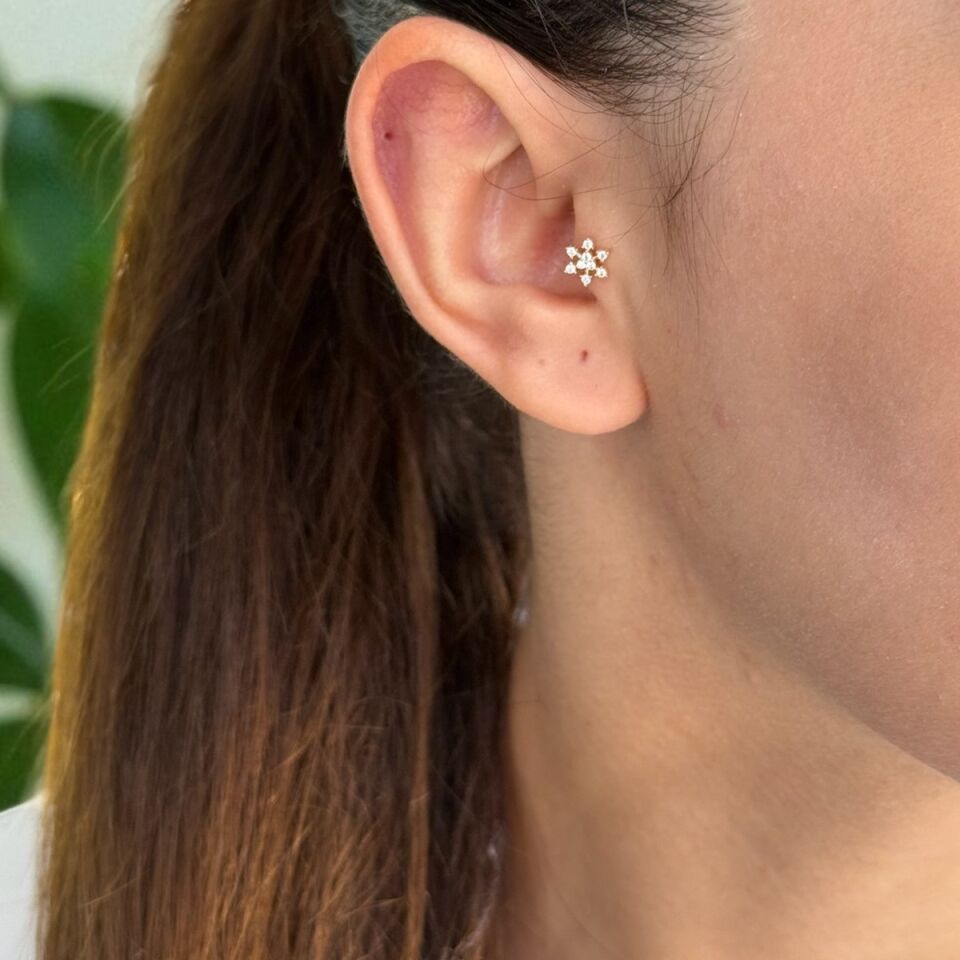 14 AYAR TAŞLI KARTANESİ TRAGUS HELİX KÜPE