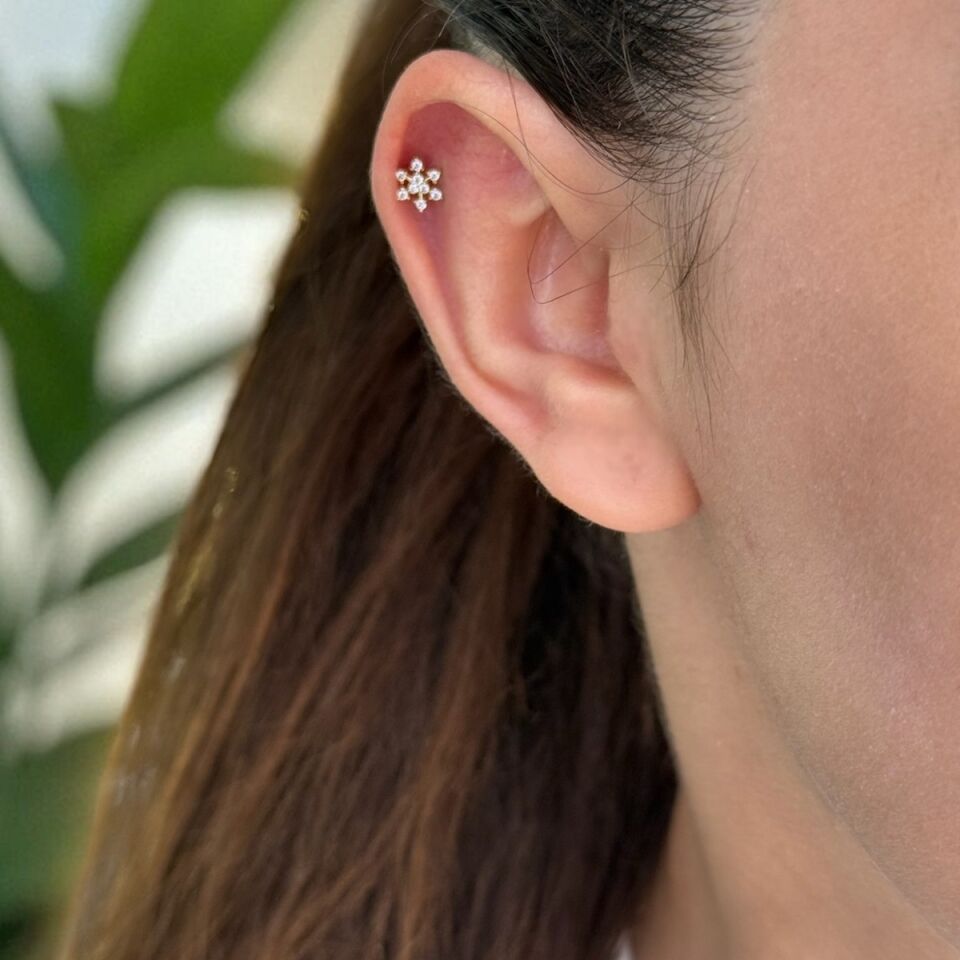 14 AYAR TAŞLI KARTANESİ TRAGUS HELİX KÜPE