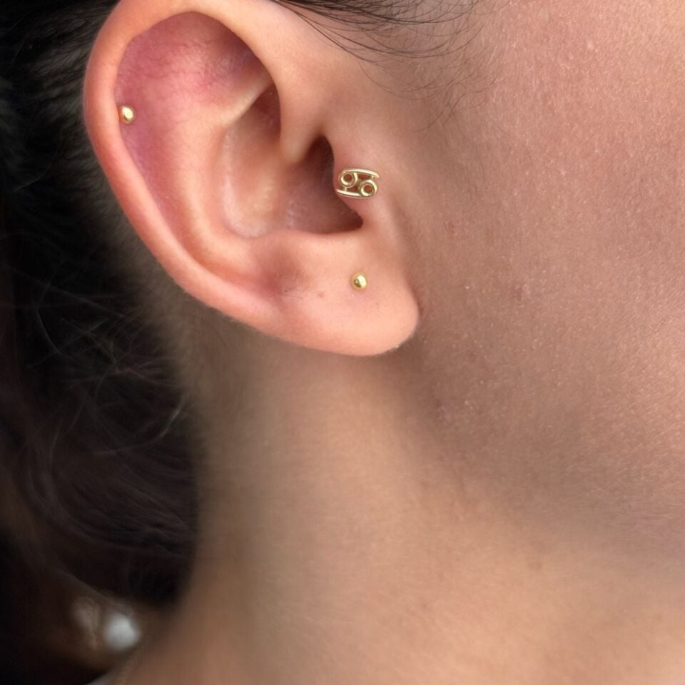 14 AYAR YENGEÇ BURCU TRAGUS HELİX KÜPE