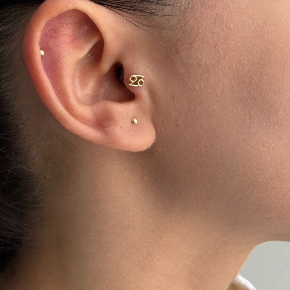 14 AYAR YENGEÇ BURCU TRAGUS HELİX KÜPE