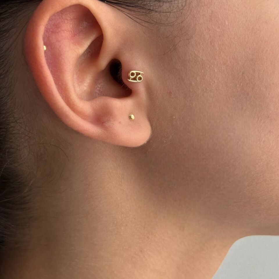 14 AYAR YENGEÇ BURCU TRAGUS HELİX KÜPE