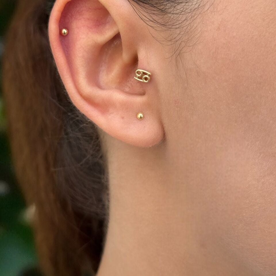 14 AYAR YENGEÇ BURCU TRAGUS HELİX KÜPE
