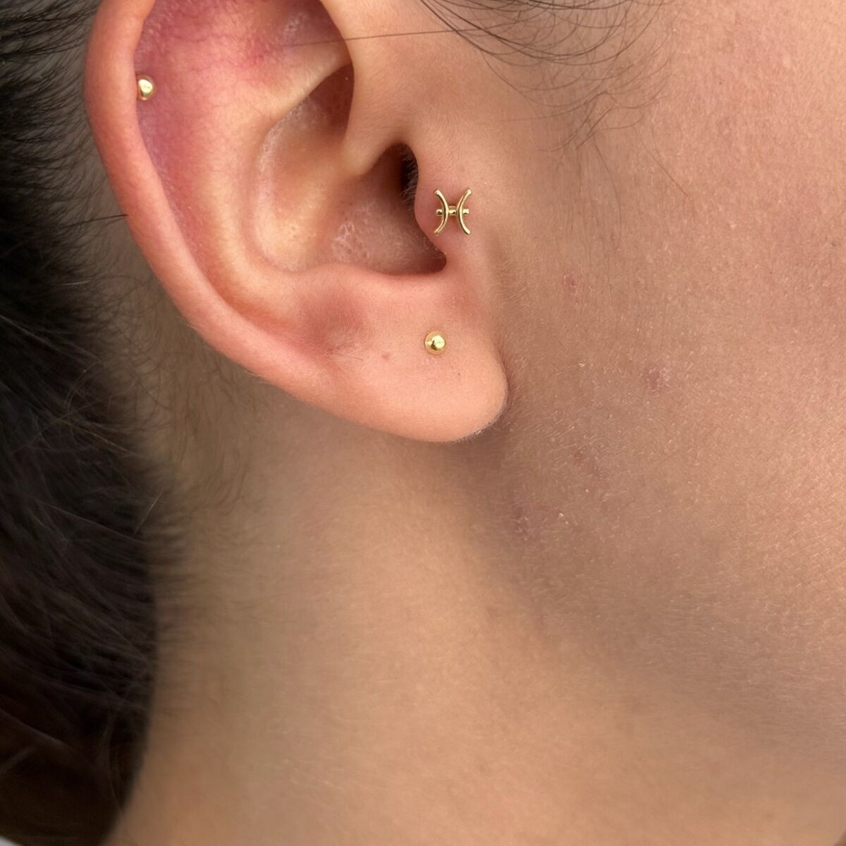 14 AYAR BALIK BURCU TRAGUS HELİX KÜPE
