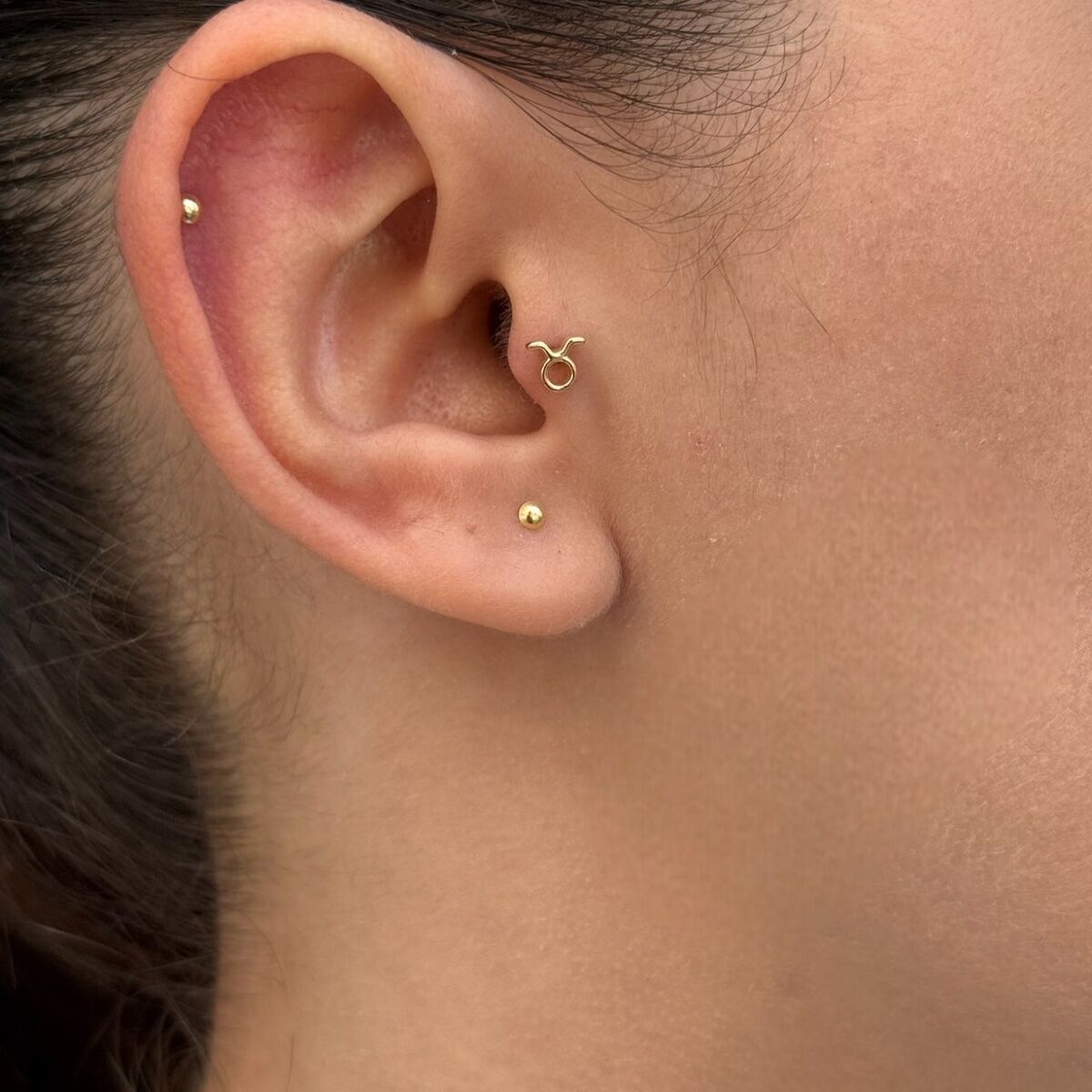14 AYAR BOĞA BURCU TRAGUS HELİX KÜPE