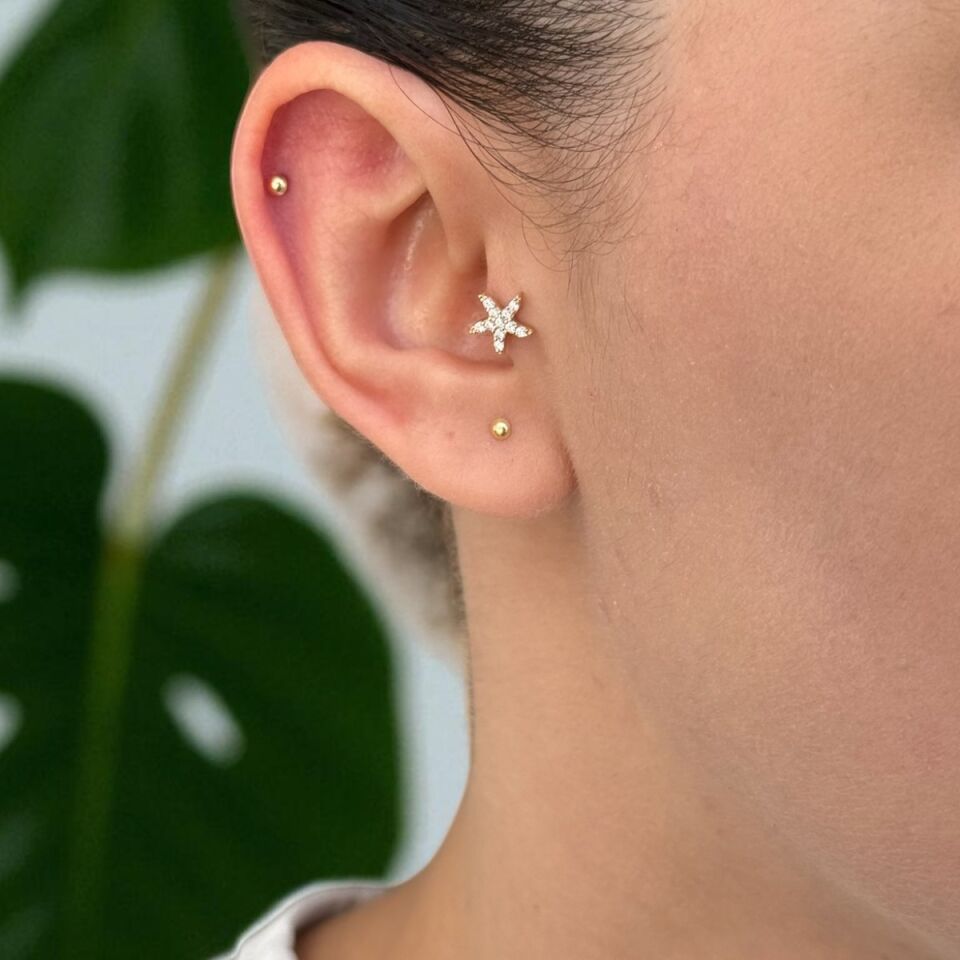 14 AYAR DENİZYILDIZI TRAGUS HELİX KÜPE