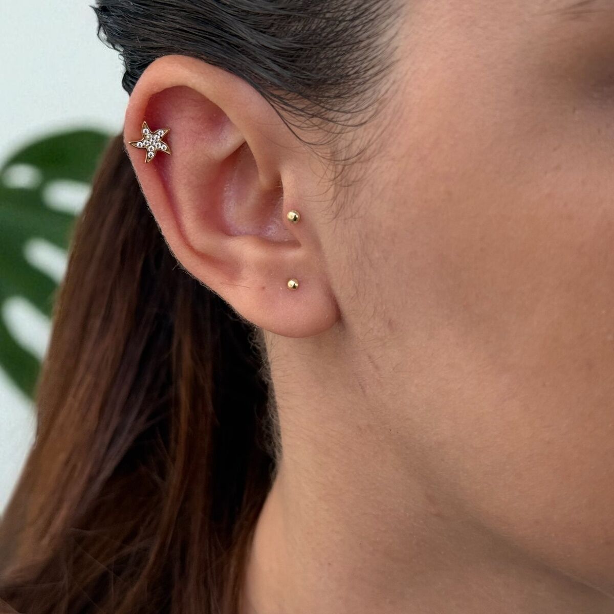 14 AYAR DENİZYILDIZI TRAGUS HELİX KÜPE