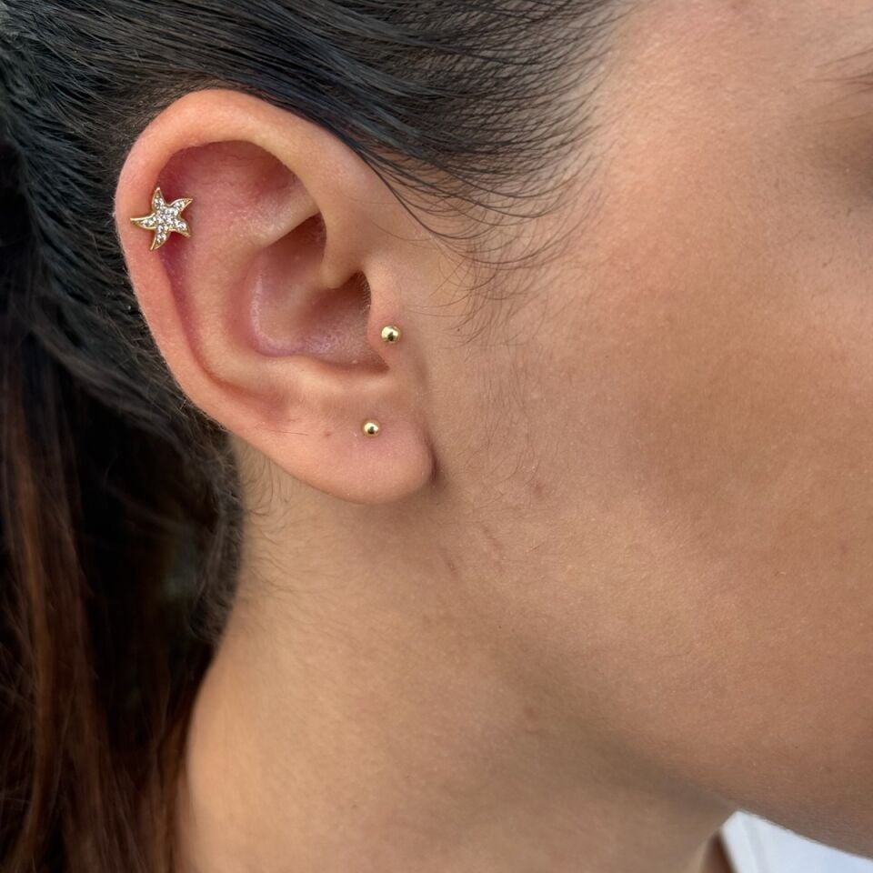 14 AYAR DENİZYILDIZI TRAGUS HELİX KÜPE