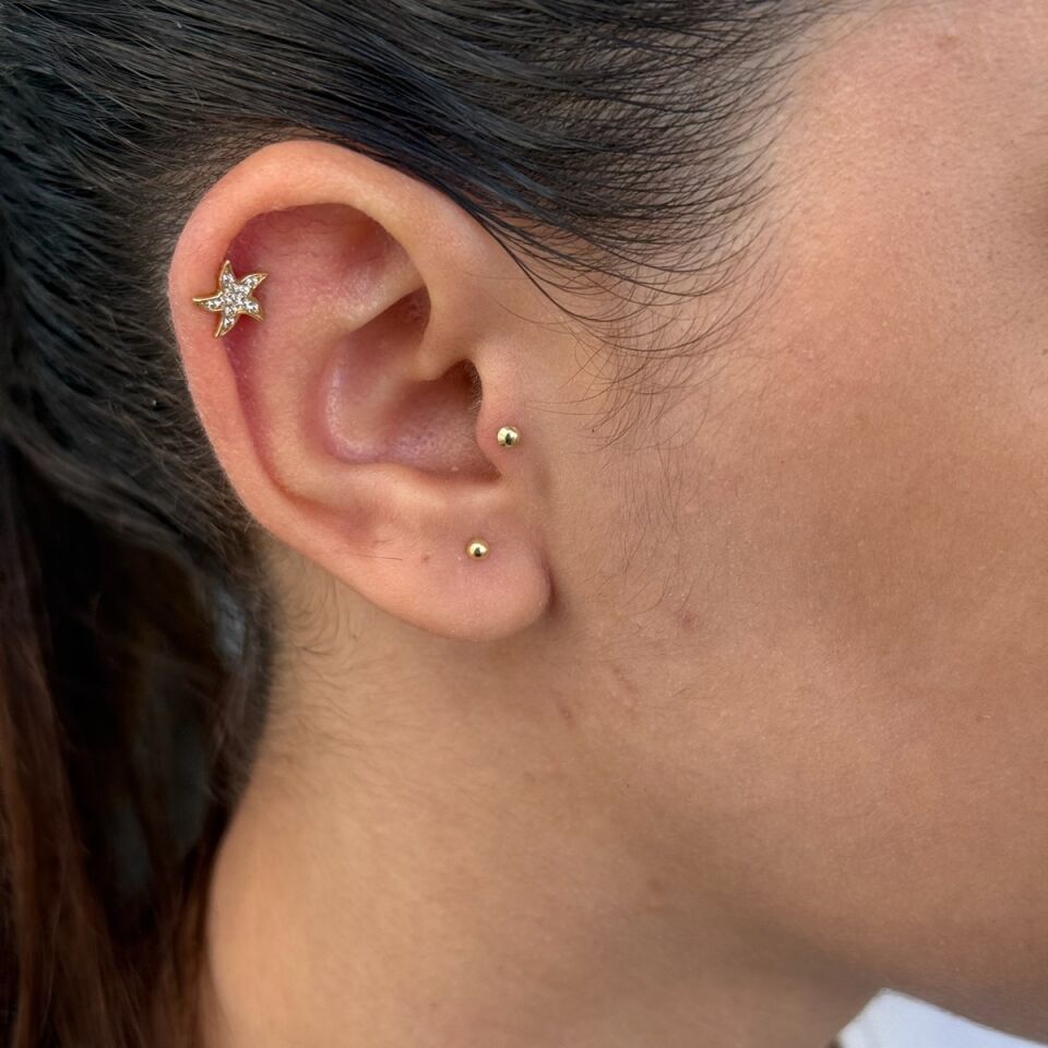 14 AYAR DENİZYILDIZI TRAGUS HELİX KÜPE