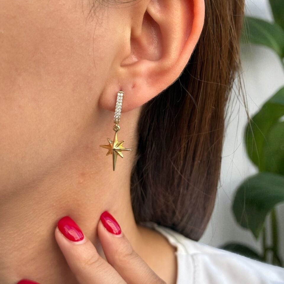 14 AYAR KUTUPYILDIZI SALLANTILI KÜPE