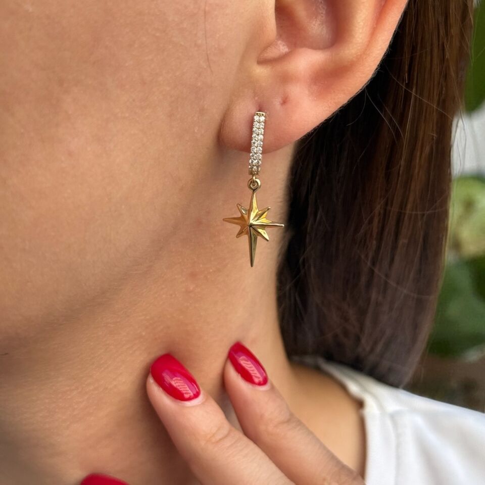 14 AYAR KUTUPYILDIZI SALLANTILI KÜPE