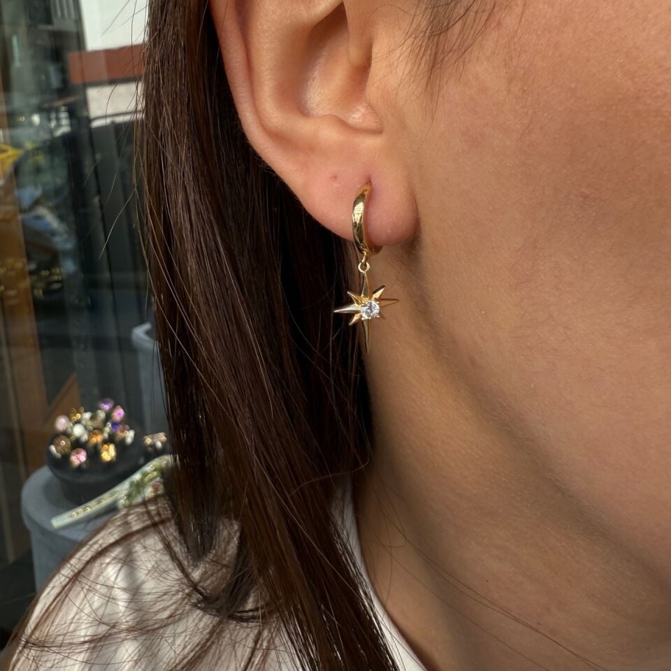 14 AYAR KUTUPYILDIZI SALLANTILI HALKA KÜPE