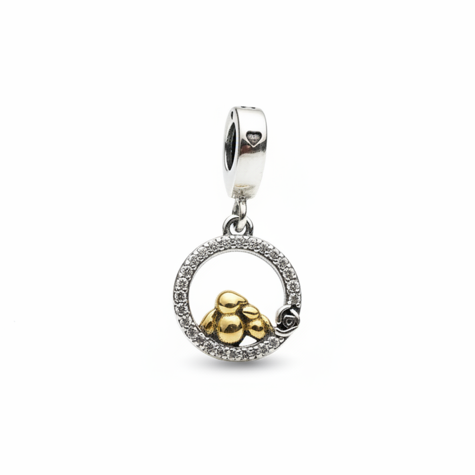 925 AYAR GÜMÜŞ CHARM